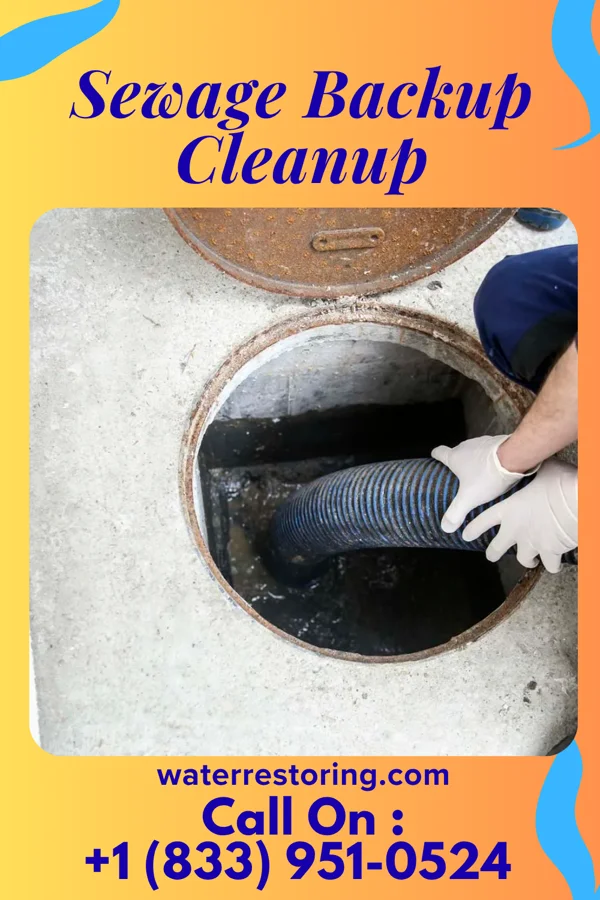 Sewage Backup Cleanup in Grove, OK